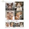 Papier decoupage, papier, Schronisko w Korabiewicach, fotografie zwierząt, psy, Dorota Majcher, Shelter in Korabiewice, animal photography, dogs, Tierheim in Korabiewice, Tierfotografie, Hunde, Refugio en Korabiewice, fotografía
